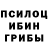 Псилоцибиновые грибы ЛСД Joel M.