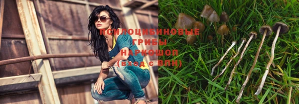 spice Киренск