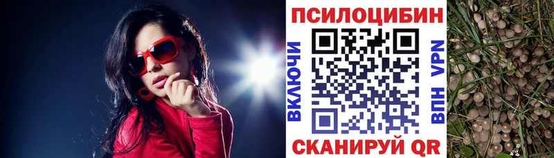 Купить закладки  Полярные Зори  Галлюциногенные грибы Psilocybe 